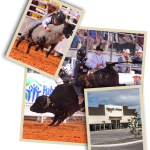 Arcadia All-Florida Championship Rodeo