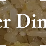 Lunch at Ginger Dim Sum