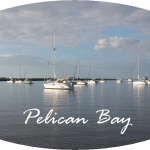 Pelican Bay Cruise