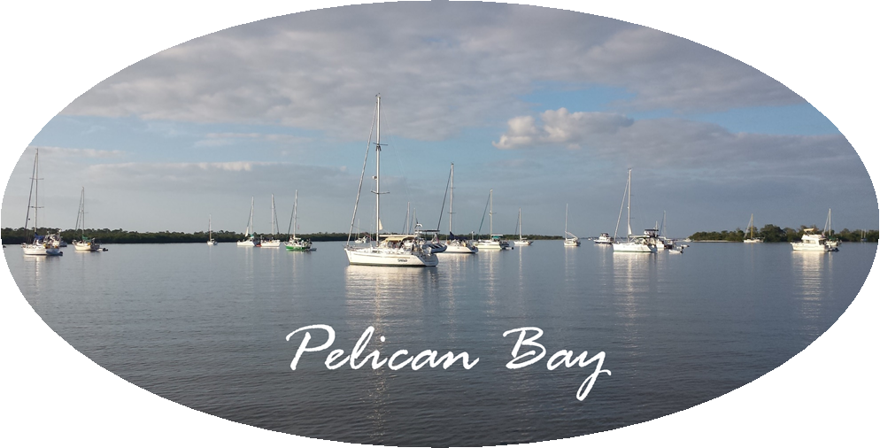 Pelican Bay Cruise