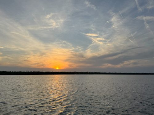 IMG 3450