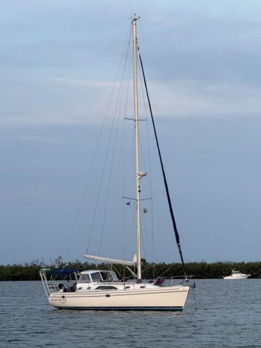 IMG 3459